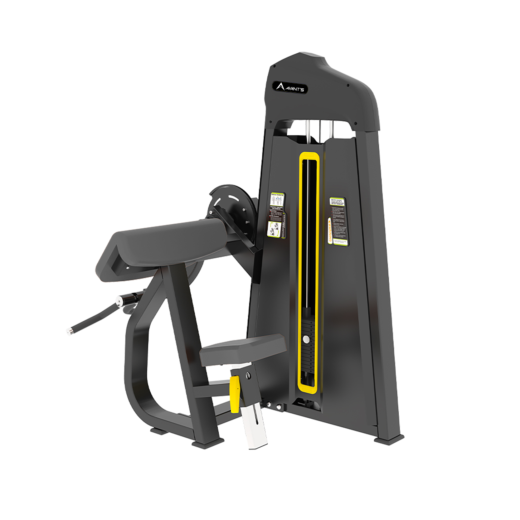 Bíceps Scott (Preacher Curl)